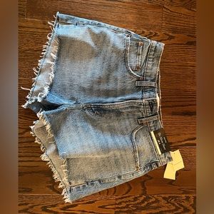 Abercrombie & Fitch 2.5” Mom Short Curve Love High rise (Size 28/6)